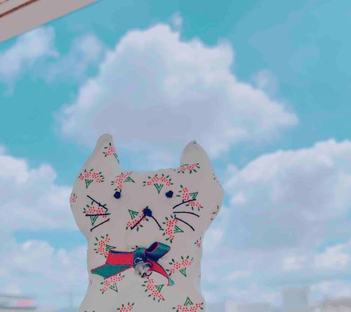 ねこです。
夏だね〜