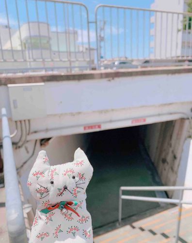 ねこです。
こういう地下通路、ワクワクしちゃうね。