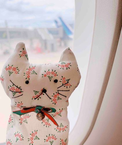 ねこです。
ねこ、昨日生まれて初めて飛行機に乗りました✈️