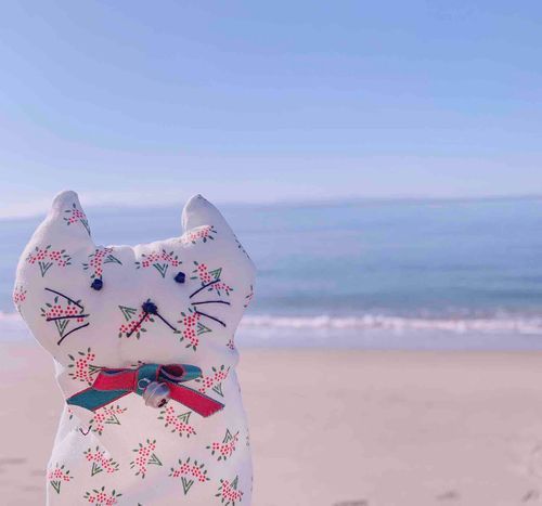 飛行機に乗ってどこ行ってたかと言うとね…北海道でした！
海だよ〜！