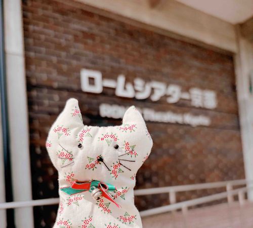ねこです。
今日は飼い主の「推し」のライブに一緒に行ったよ〜