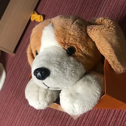 ぬん♪