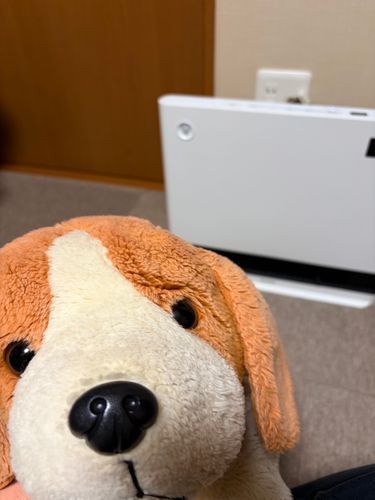 あったかいね〜☺️