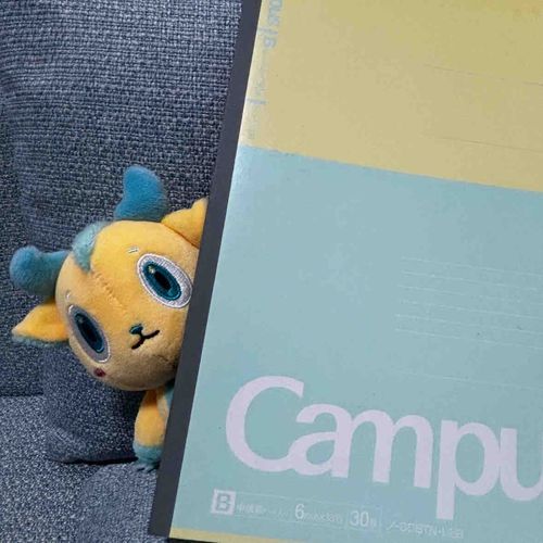 同じ色のノートだね。
本当は今すぐ寝たいけど、明日のために頑張るね。