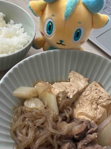 すっっっごく久しぶりに作ったご飯は肉豆腐だよ。もうちょっと味濃くてもよかったかも…
料理って難しいね