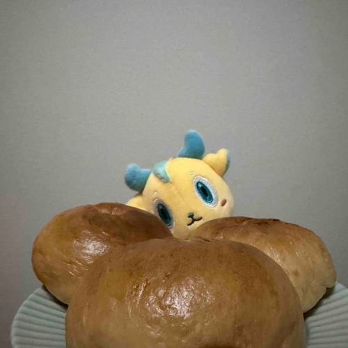 ベーグルの間からこんにちは🥯
久しぶりに作ったけど悪くないぞ！