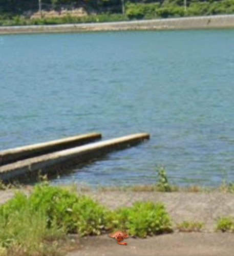 【オパビニアさん海へ行こう計画】
1日目→失敗
敗因:雑草に戦闘を仕掛けられ敗退