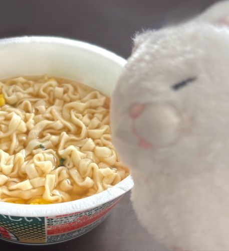 今日のお昼🍜
なんだか物価高を感じるんよ