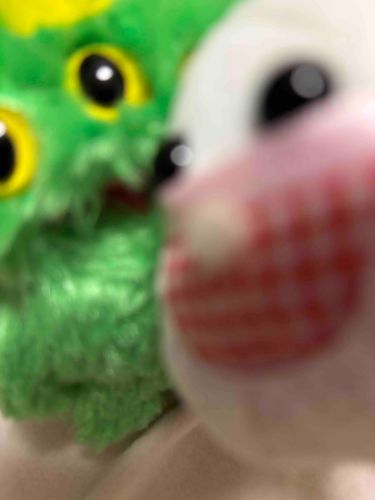 あたらしい　おともだち？