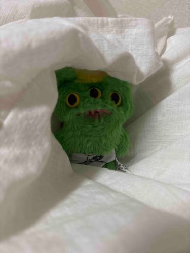 あのね　みどり　は　まだ　ぱんつを　はいて　いたいし　ぜいきん　とか　しらないで　いたい　から　おとな　は　まだ　えんりょ　しときます　