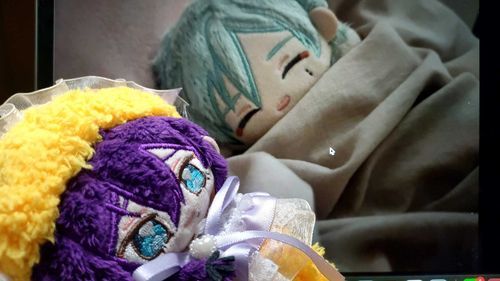 どこかとおくにいるらしいたつぬさんですねぇ 遠隔でなら一緒にねんねできますよ
