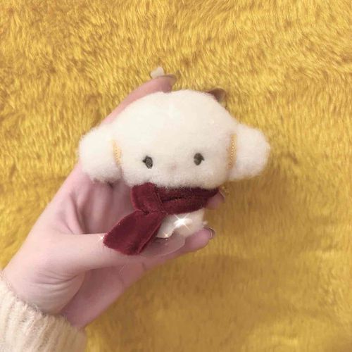 恐らくプリンくんの毛をバックにぱしゃー！！