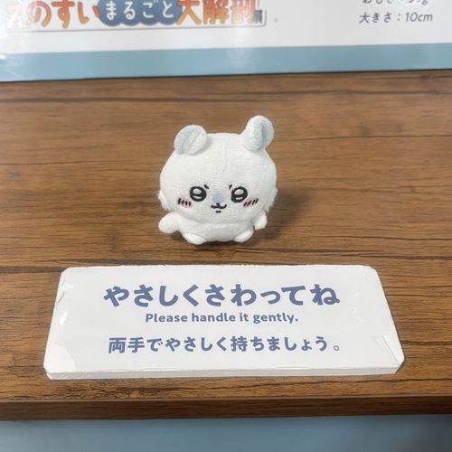 両手でやさし‎ーく持ち上げろッ