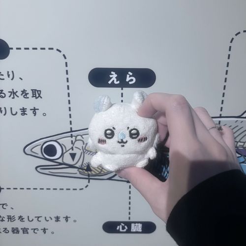 エラ❓