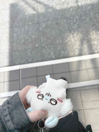 お散歩つきそい