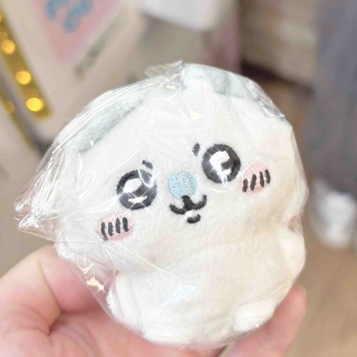 念願のおすわりちゃんおむかえ( ᐪ꒳ᐪ )♥