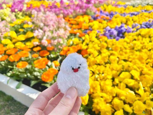 お花畑🌼🌷🏵️