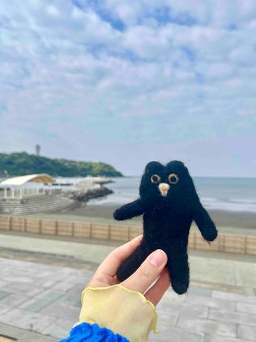 白いもふもふの子お留守番なので、黒いくまさん代理
江ノ島の海と🌊📸