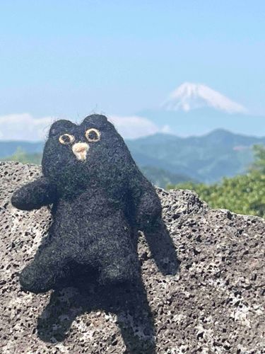 縁起良さそう⛩️