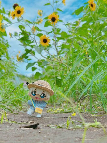 向日葵🌻