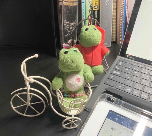 ぽこ主の勉強を見守る仕事をしているぽこ