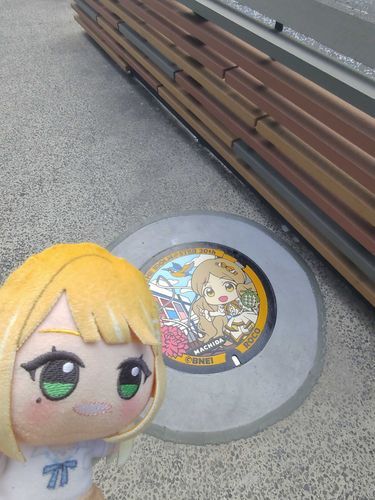 ロコちゃんのマンホール見たよー