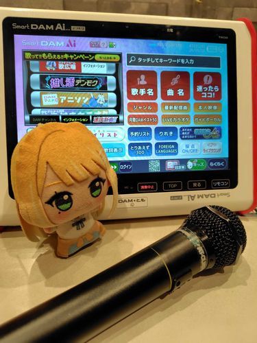 久しぶりにカラオケ！