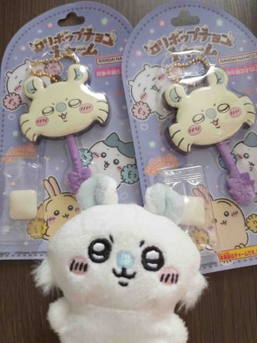 やっと見つけたゾ！1つはプレゼント用だゾ！🍭🍫