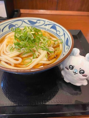 丸亀だゾ！主は大盛りを一瞬でたいらげてたゾ！🩵