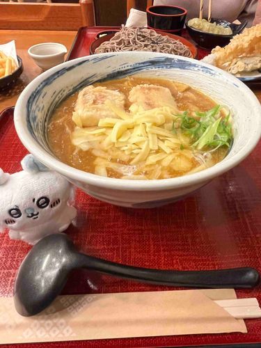 チーズ餅カレーうどんだゾ！🧀🍛