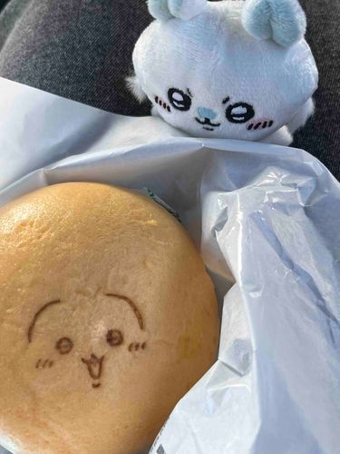 擬態型か〜？なんかツヤツヤだゾ！