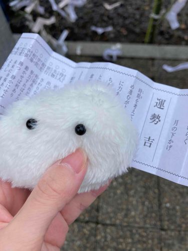 おみくじ　びみょ