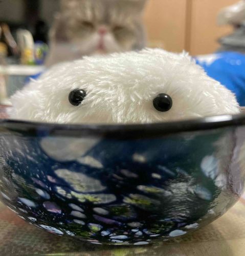 ふわふわ　きらきら