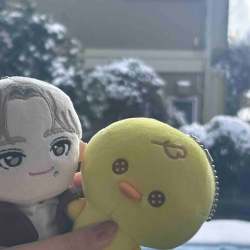 うちに来て初の雪景色でした☃️