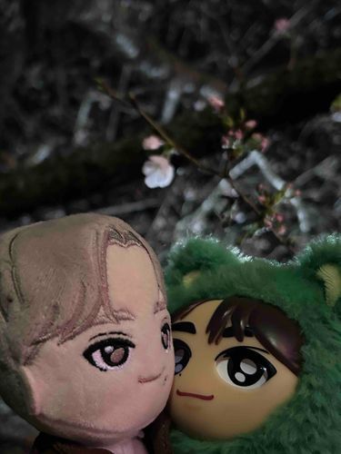 ところどころ桜が咲いてて月末の桜まつりが楽しみですね🌸💖