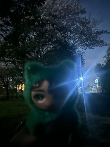 たくねこと夜桜🌸✨️

お友達に怖いって言われちゃったね🤣