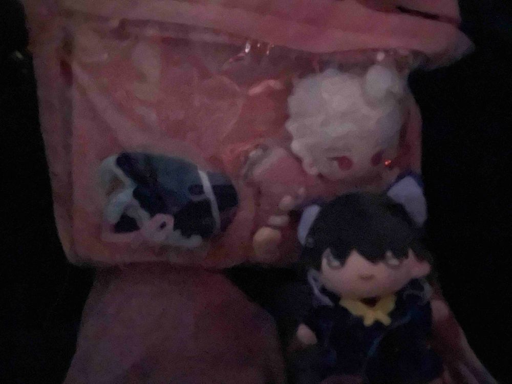 最終日 おしまい

かぞくのひとたちが それぞれに ポケモンや ぬいぐるみを つれて できた はじめての りょこう だったなあ

ナイくんの はじめての たびでも あったからね
ずっと ぼくたちを まもってくれて ありがとう！ナイくん！

やっぱり おうちが いちばんだね！
もう、ねむくて…あ…おやすみなさい…