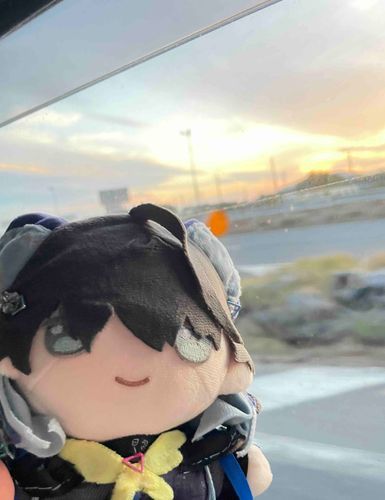 最終日 おしまい

かぞくのひとたちが それぞれに ポケモンや ぬいぐるみを つれて できた はじめての りょこう だったなあ

ナイくんの はじめての たびでも あったからね
ずっと ぼくたちを まもってくれて ありがとう！ナイくん！

やっぱり おうちが いちばんだね！
もう、ねむくて…あ…おやすみなさい…