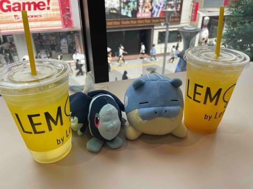 𝑳‌𝑶‌𝑽‌𝑬

きょう うれしいことが あったよ！
びょういんで おとなりに すわってた おばあさんが… ぼくらの こと、 かわいい って いって くれたんだ…
やさしい おばあさん ありがとう！！🥲

（しゃしんは むかし とった おともだちの タマザラシの たましちゃん また あそぼうね！）