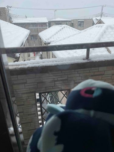 ふりつもる メロディ

おそらから ふわふわで ひんやりした おくりものが とどいたよ❄️

ゆきの けっしょうの おしゃしんも とってみたよ
みえるかな…👀