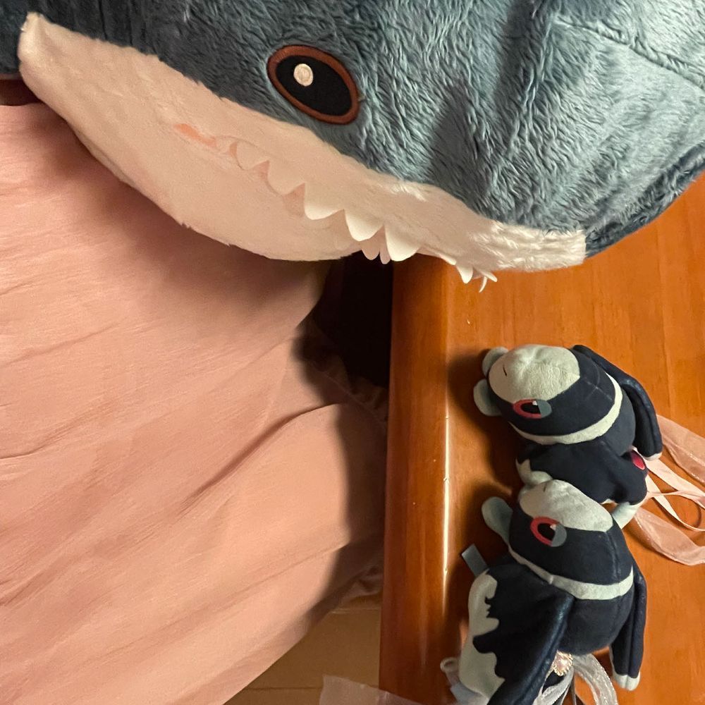Hej hej 

ぼく、さめです。
100センチくらいある おおきなからだが、 じまんです。
イケアというおみせに すんでいました。
おさかなが たくさんいるおうちに いけることになったので、 たのしみです。
なかよく なれるかな…