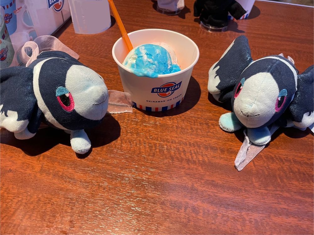 レイクタウン だいぼうけん

これは ちょっとだけ まえに おねえちゃんと れいくたうんを まんきつした ときの おはなし…

おねえちゃんの いちおし ぐるめすぽっとを まわったよ！
かいせんどんやさん、 おきなわの あいすやさん、 あふたーぬーんてぃーやさん…
だいまんきつだったよ…😌🫶