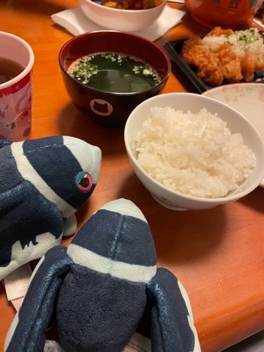 きょうは オフのひ

おりょうりは おやすみで…
おそうざいと きのうの とまとにをたべたよ！
とまとには さらに とまとあじが しみていて さいこうの くたくたじょうたいに なっていたよ……！✨️