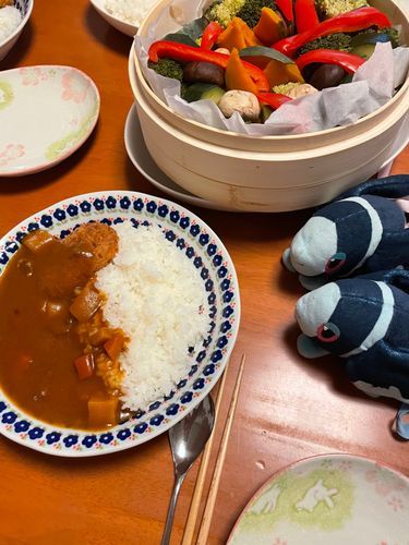 きのうの ばんごはん

せいろの むしきを かってみたよ〜！
さっそく むしやさいで おやさいかれーぱーてぃだ！

……ずっきーにって むしても おいしいんだね… ふっくらして とっても じゅーしー だったよ…🫢