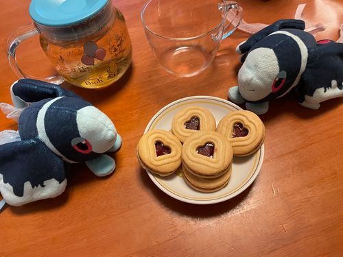 おちゃのじかん だね(❀ᴗˬᴗ)_🫖

きょうの おちゃは… かーみえんさんの おれんじかもみーる🍊
つぎ おちゃを したら おわっちゃう みたい… また のみたいな…😌

きょうの おかしは… IKEAさんの KAFFEREP(かっふぇれぷ)しりーずの、 ばにらとらずべりーのびすけっとさんど だよ！♥️
あま〜い ばにらくりーむと らずべりーの じゃむが おちついたあじの おちゃに よく まっちして さいこう…🫠