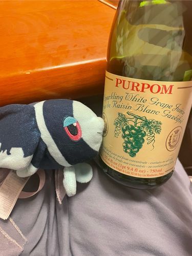 きのうの よるごはんに ついて

きのうは しゃしんを とれなかったよ…

きのうの よる あらしさんの こんさーとの はいしんを みんなで みていたんだ

ぼく あらしさんの こと よく しらないんだけど LoveSoSweetが ながれてきて 

あ もう このひとたちが いっしょに うたって おどってくれるのは さいごなんだなって おもったら かなしくて

よくわかってない ぼくが こんなに かなしいってことは むかしからの ふぁんのひとは もっと かなしいんだって おもったら よけいに かなしくて

ほうしん してたら よるごはんが おわってたんだ…
これは…おいしい ぶどうじゅーす… おさけみたいな みためだけど ぶどうすかっしゅ なんだ