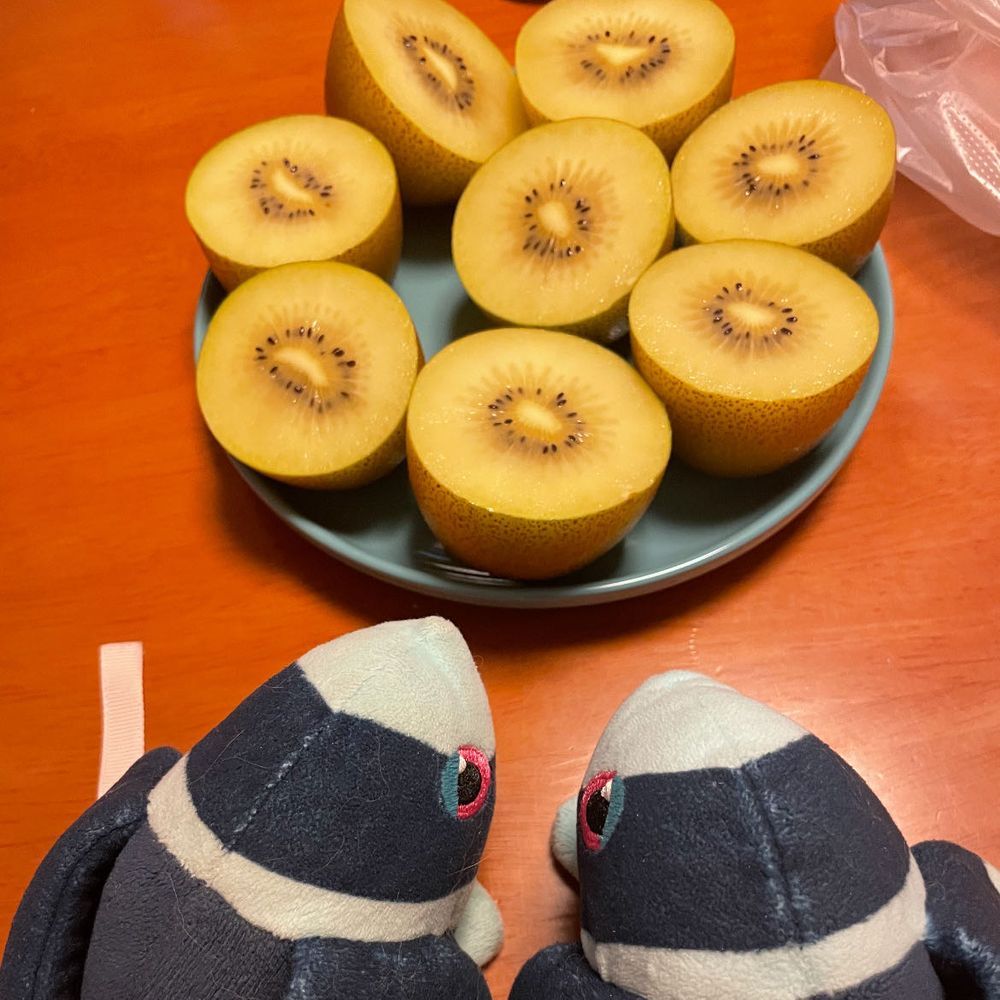 いえーい！ きょうのごちそうだにゃん

なつの あまい はーとだね

ひやしちゅうか だいすき！
きょうは しおこんぶのせ おとうふも いっしょ！
でざーとは きうい…！
おみせで ときどき やっている きういの ししょくかい すきなんだ
あの きういぶらざーずさんも すき かわいいから