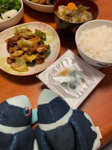 きのうの ごはんはね

𝑻𝒘𝒊𝒄𝒆-𝒄𝒐𝒐𝒌𝒆𝒅 𝒑𝒐𝒓𝒌だったよ
そう ほいこーろー だね