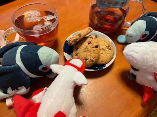おちゃかいのハイライトだ！ 🫵🦊🍪

きょうの おちゃは、 にっとうこうちゃさんの ひゅうがなつ＆ゆずてぃー🍊
さわやかな いいかおりの こうちゃだよ！
でも もうちょっと てぃーばっぐを いれておいても よかったのかな…
まだまだ こうちゃの いれかたは たんれんが いるんだね ぼくたちも がんばろう

きょうの おかしは、 れっかーさんの ぬがてっりくっきー🍪
さくさく ほろほろ とろっと すごーく おいしかった〜！
この くっきーの ためだけに また KALDIさんを みて まわろうかな…
この くっきー、 だがしの おうさまの おうかん っていう くっきーに にてるかも… それを すこし あまさひかえめに したかんじ みんなも たべてみてね