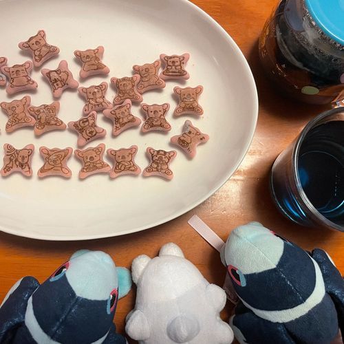 お茶の時間がやって来るでしょう🫖🫲👼🫱

きょうの おちやは、 がーでんてぃーさんの れもんぐらすばたふらいぴー🦋
この こうちゃの てぃーばっぐには たぐが ついてないんだ
だから、 ずっと いれておいて いいのかな？ しぶみも でないから、 あんしんして のめるていどに さましてから のむことが できるんだ…😌

きょうの おかしは… ろってさんの こあらのまーち ふぁんたじーそーだ🦄
きのう はつばいの あたらしい こあらのまーちなんだ！
そーだふうみで みずいろの ちょこれーとが なかに はいっていて、 かわいい〜！🥰
そーだの ちょこれーとって ふしぎだよね でも、 あとひく あじ…！
おいしかったよ！ つぎは ゆにこーんこあらさんの えがらが ひけると いいな〜！🐨
